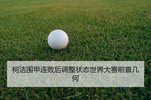 ke-jie-wei-jia-lian-bai-hou-tiao-zheng-zhuang-tai-shi-jie-da-sai-qian-jing-ji-he-2-347.jpg
