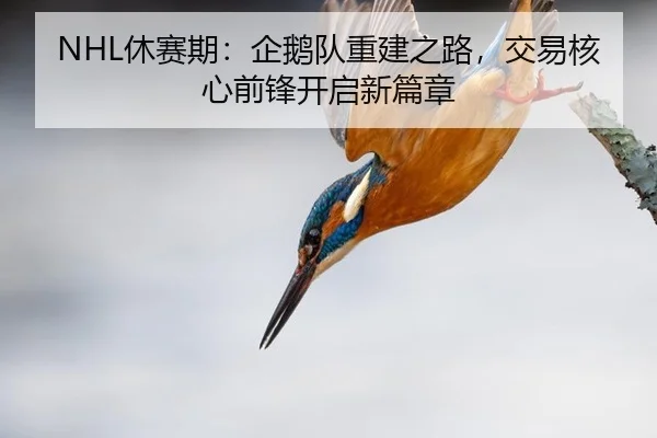 NHL休赛期：企鹅队重建之路，交易核心前锋开启新篇章