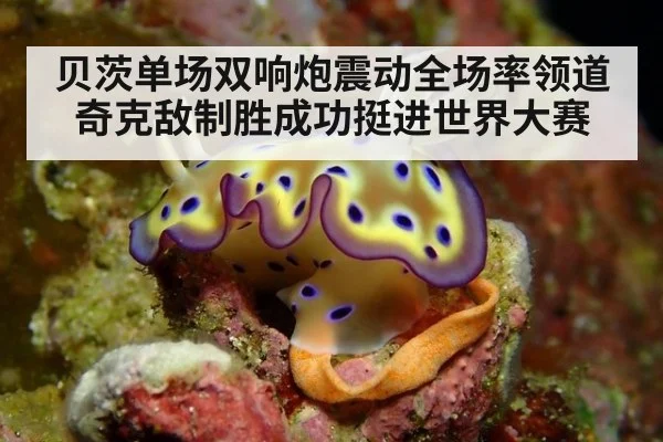 贝茨单场双响炮震动全场率领道奇克敌制胜成功挺进世界大赛